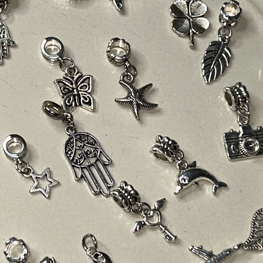 15 Silver Charm Collection - Picture 2 of 3